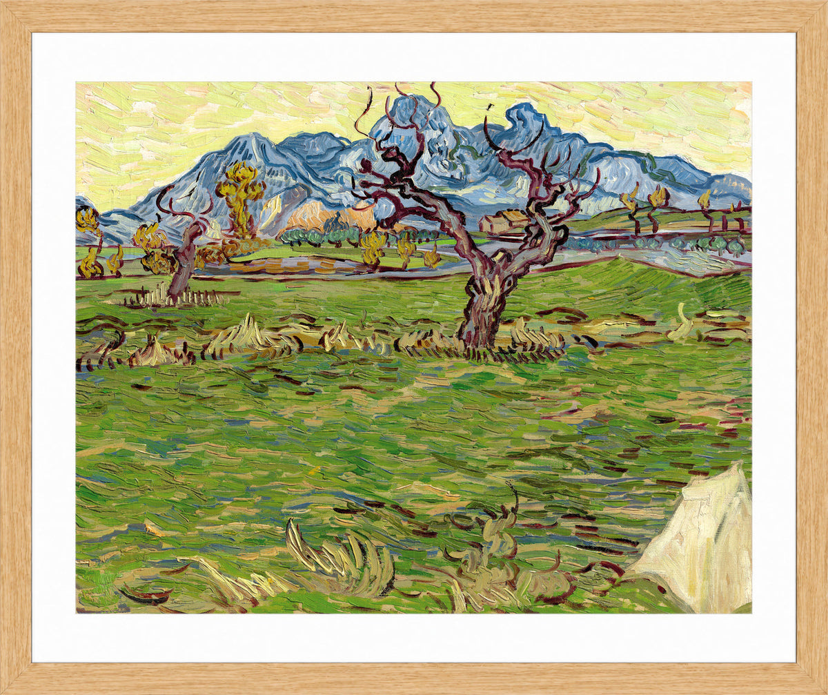 Vincent van Gogh Print, 019 Landscape with Olive Tree and Mountains in the Background_10x8 in an oak frame