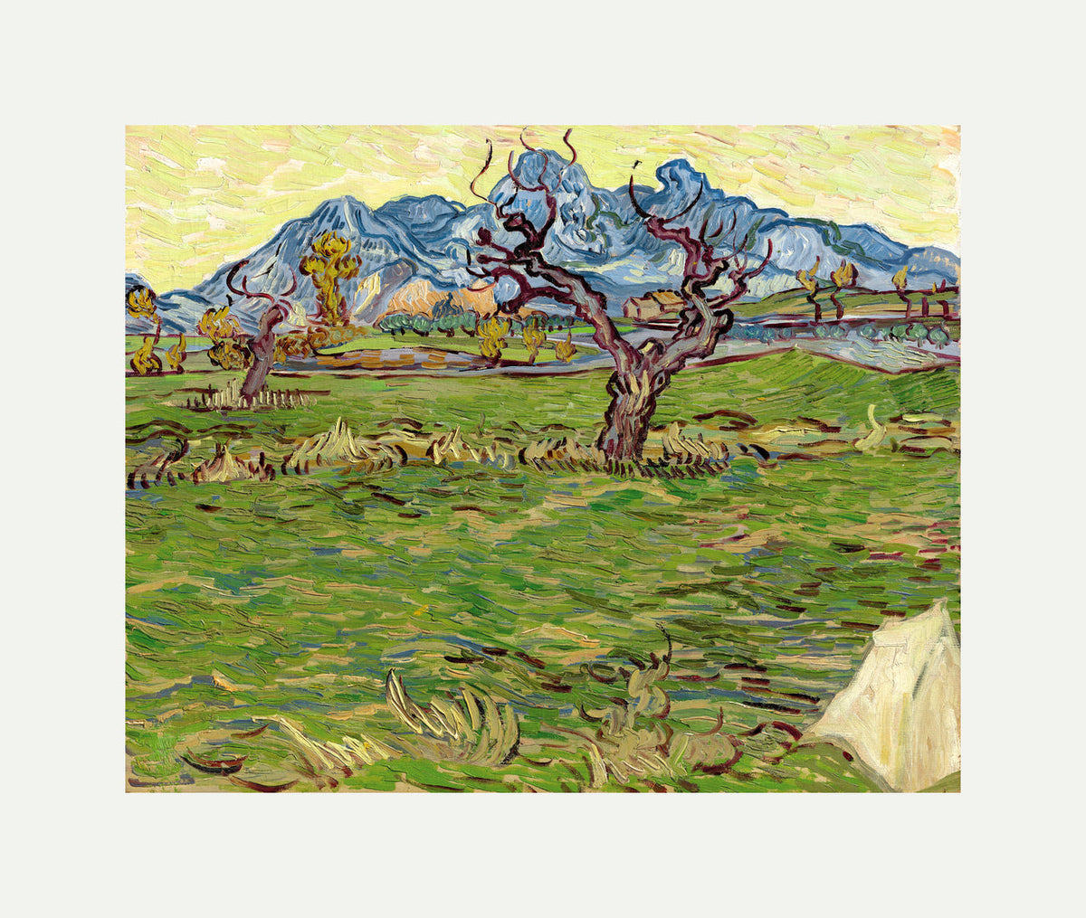 Vincent van Gogh Print, 019 Landscape with Olive Tree and Mountains in the Background_10x8 with an off-white border for rolled canvas