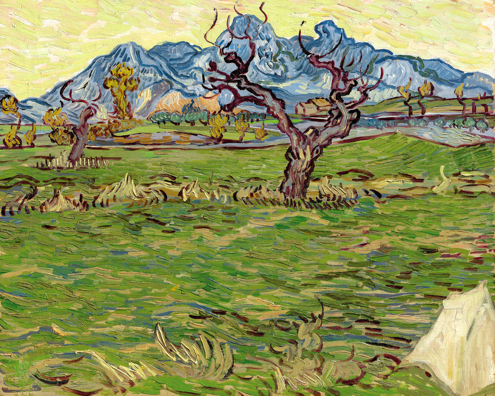 Vincent van Gogh Print, 019 Landscape with Olive Tree and Mountains in the Background_10x8 as an unframed print