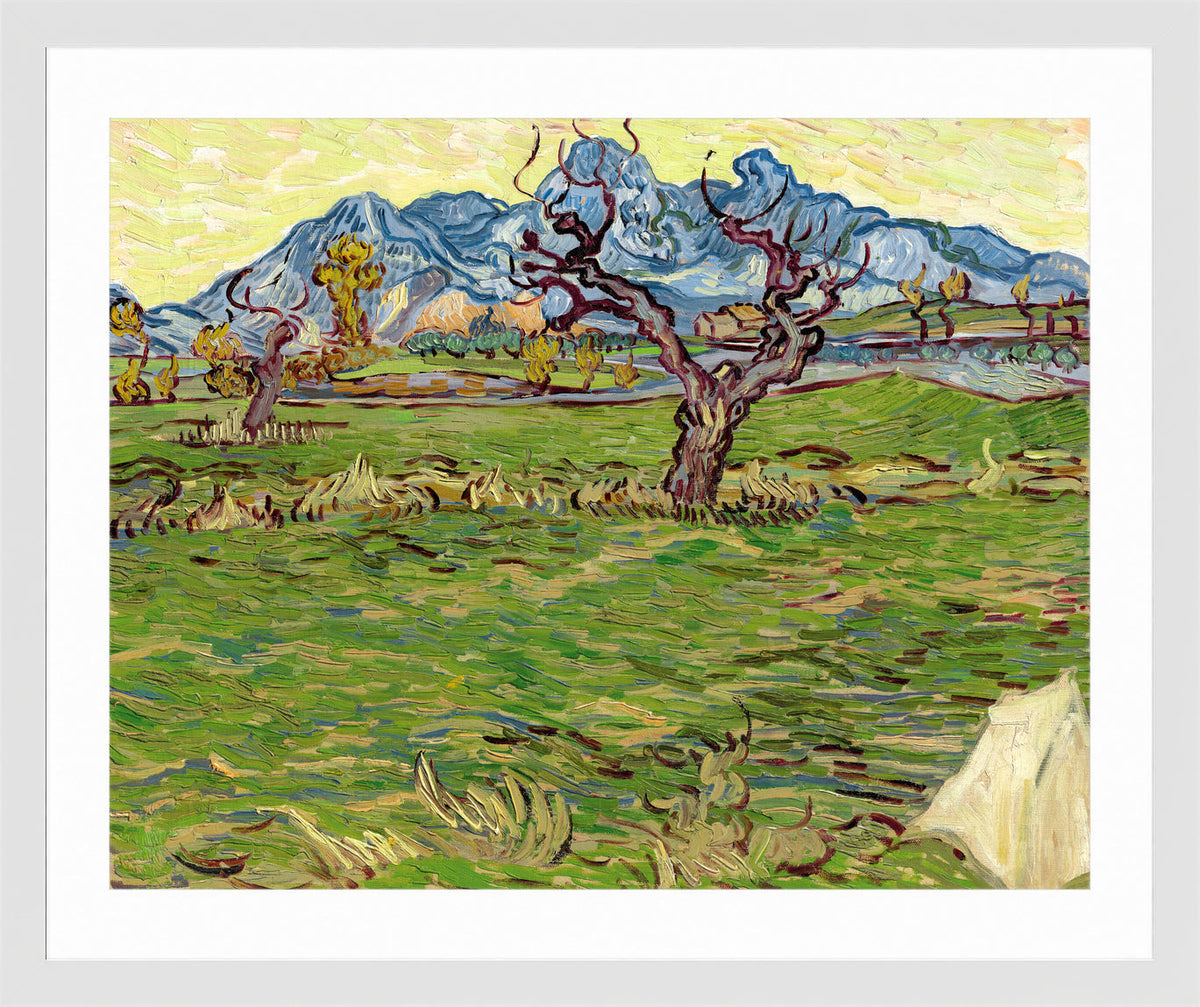 Vincent van Gogh Print, 019 Landscape with Olive Tree and Mountains in the Background_10x8 in a white frame