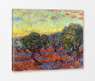 Vincent van Gogh Print, 021 Olive Grove, Orange Sky_10x8 as a ready-to-hang canvas panel