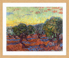 Vincent van Gogh Print, 021 Olive Grove, Orange Sky_10x8 in an oak frame
