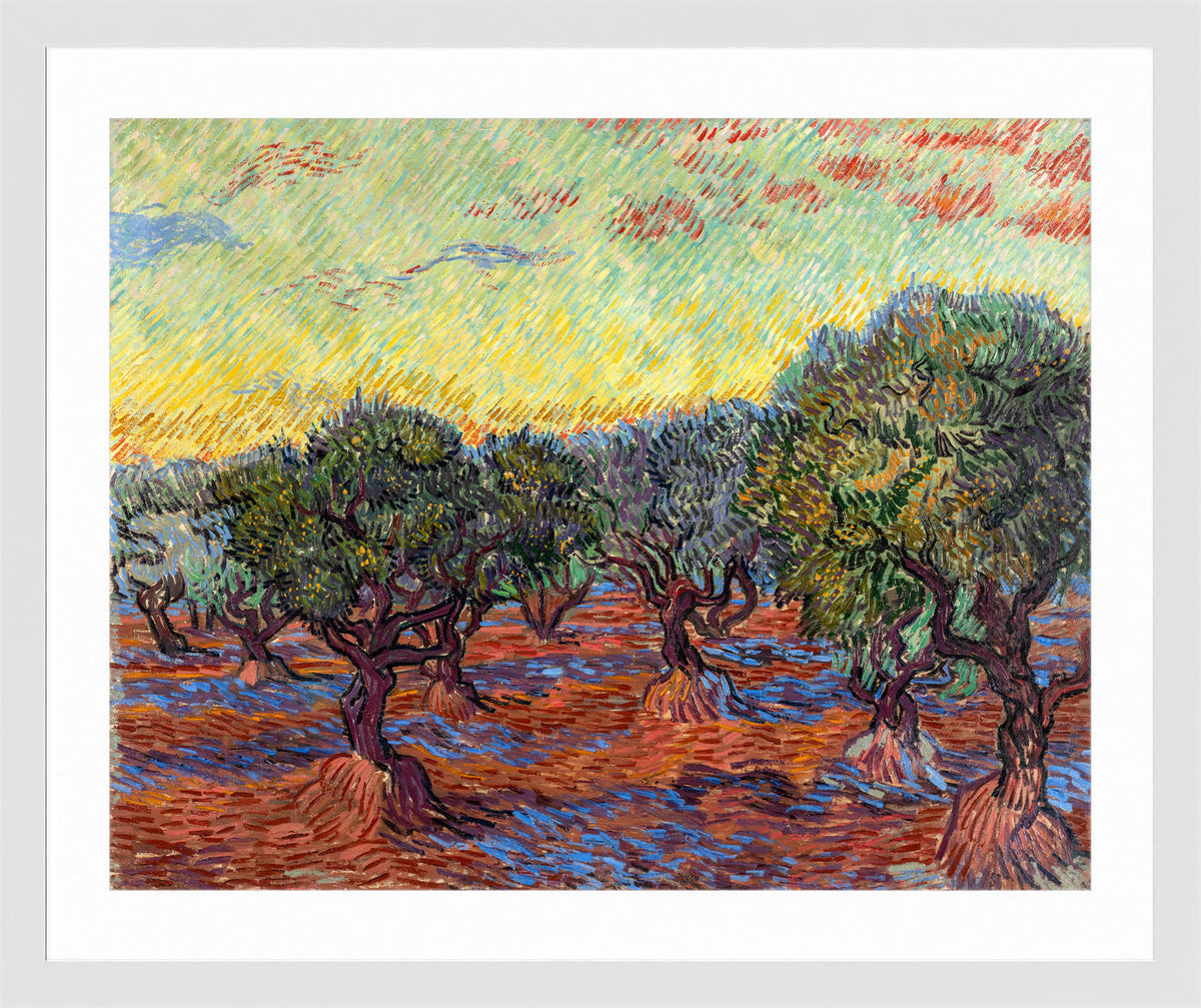 Vincent van Gogh Print, 021 Olive Grove, Orange Sky_10x8 in a white frame