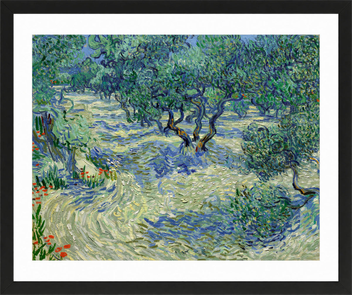 Vincent van Gogh Print, 022 Olive Orchard (June)_10x8 in a black frame