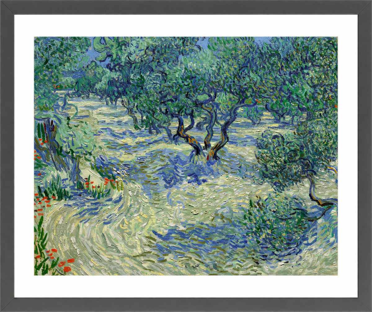 Vincent van Gogh Print, 022 Olive Orchard (June)_10x8 in a dark grey frame