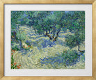 Vincent van Gogh Print, 022 Olive Orchard (June)_10x8 in a gold frame