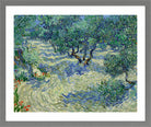 Vincent van Gogh Print, 022 Olive Orchard (June)_10x8 in a light grey frame