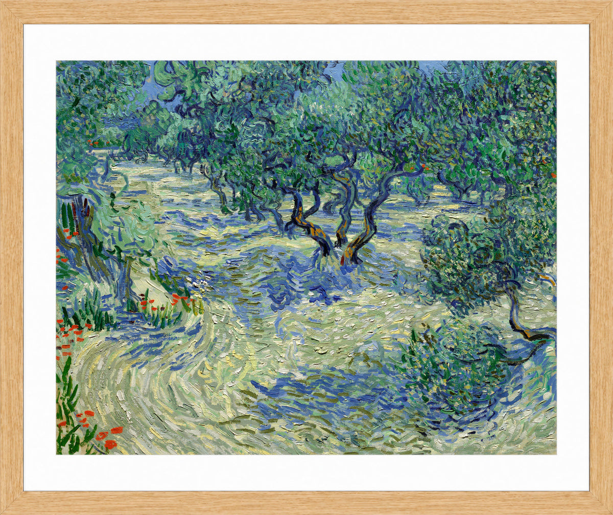 Vincent van Gogh Print, 022 Olive Orchard (June)_10x8 in an oak frame