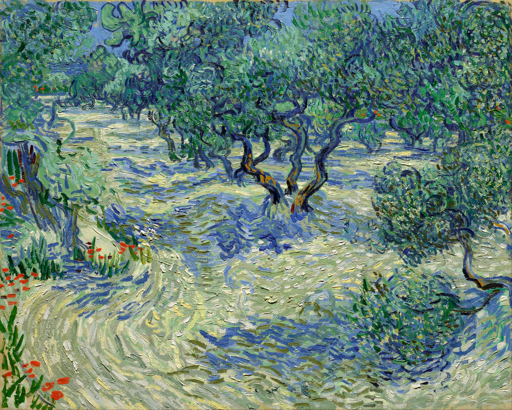 Vincent van Gogh Print, 022 Olive Orchard (June)_10x8 as an unframed print