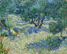 Vincent van Gogh Print, 022 Olive Orchard (June)_10x8 as an unframed print