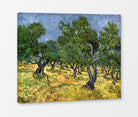 Vincent van Gogh Print, 023 Olive Orchard_10x8 as a ready-to-hang canvas panel