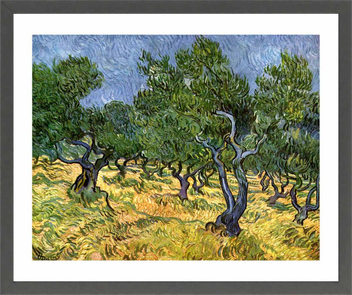 Vincent van Gogh Print, 023 Olive Orchard_10x8 in a dark grey frame