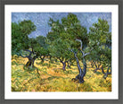 Vincent van Gogh Print, 023 Olive Orchard_10x8 in a dark grey frame