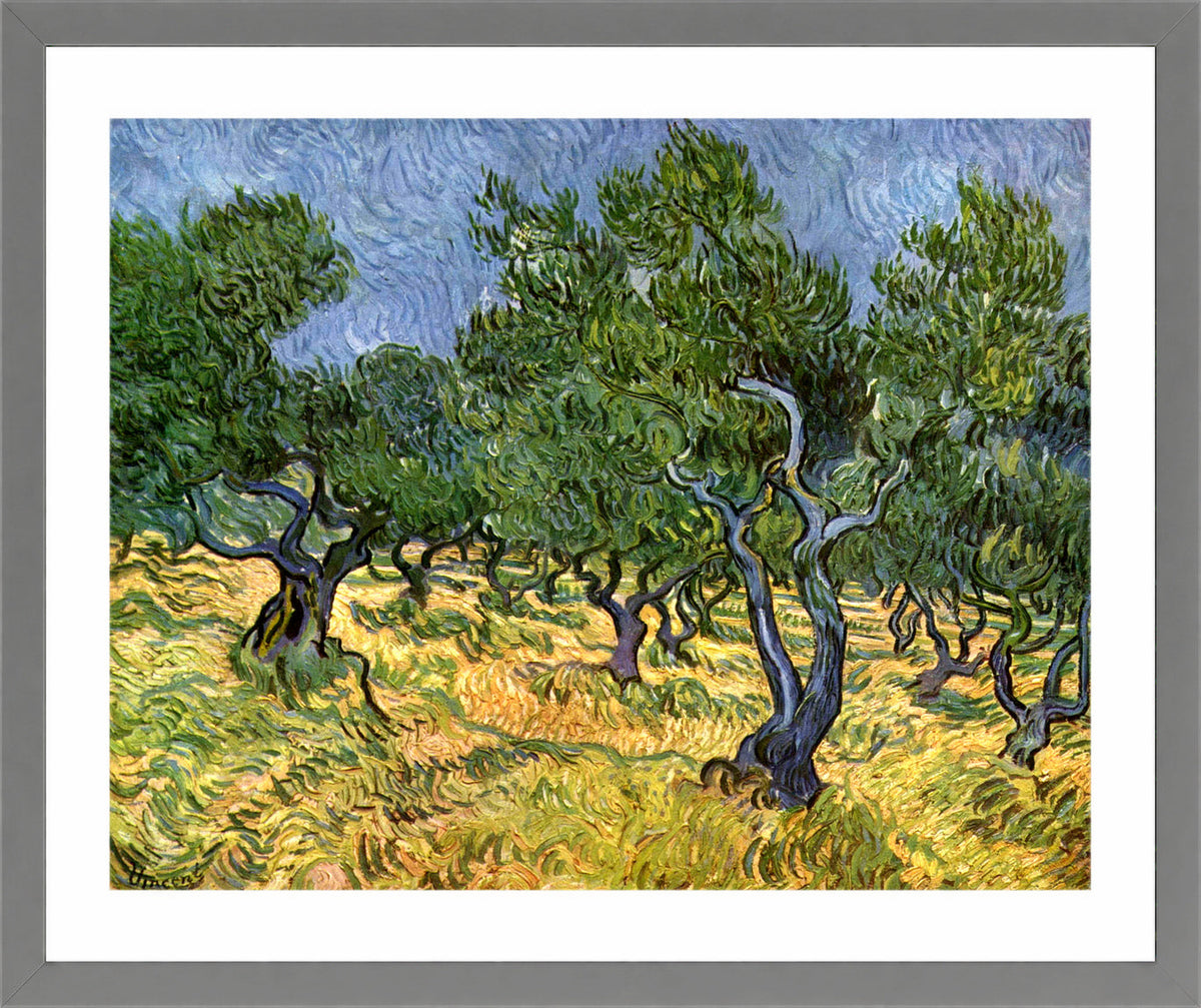 Vincent van Gogh Print, 023 Olive Orchard_10x8 in a light grey frame