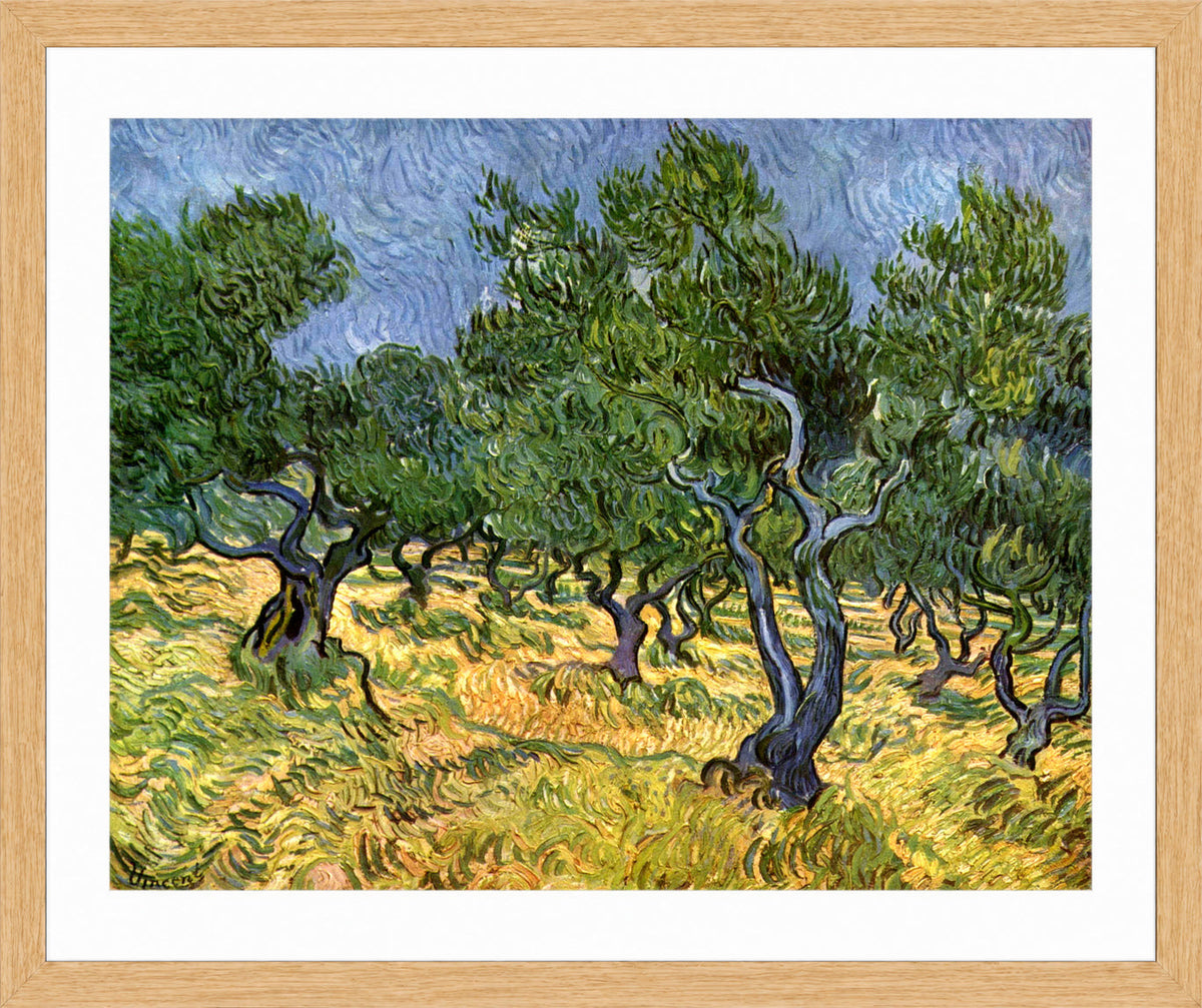 Vincent van Gogh Print, 023 Olive Orchard_10x8 in an oak frame