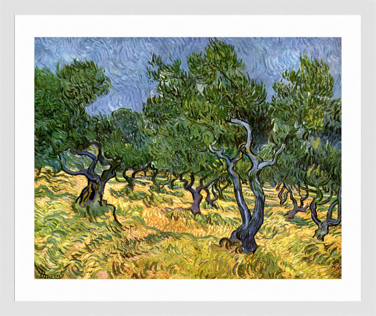 Vincent van Gogh Print, 023 Olive Orchard_10x8 in a white frame