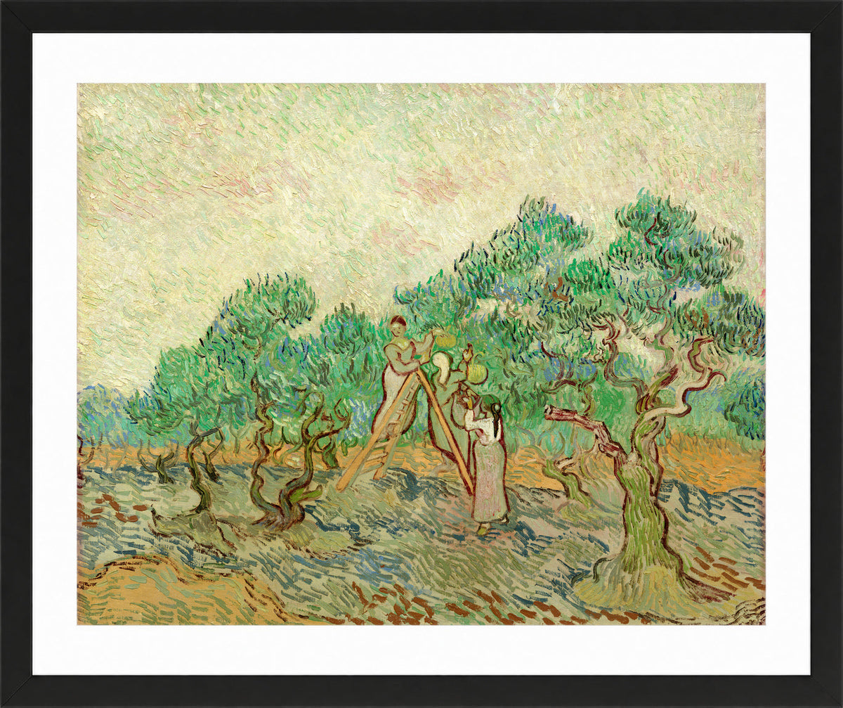 Vincent van Gogh Print, 024 Olive Pickers_10x8 in a black frame