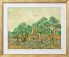 Vincent van Gogh Print, 024 Olive Pickers_10x8 in a gold frame