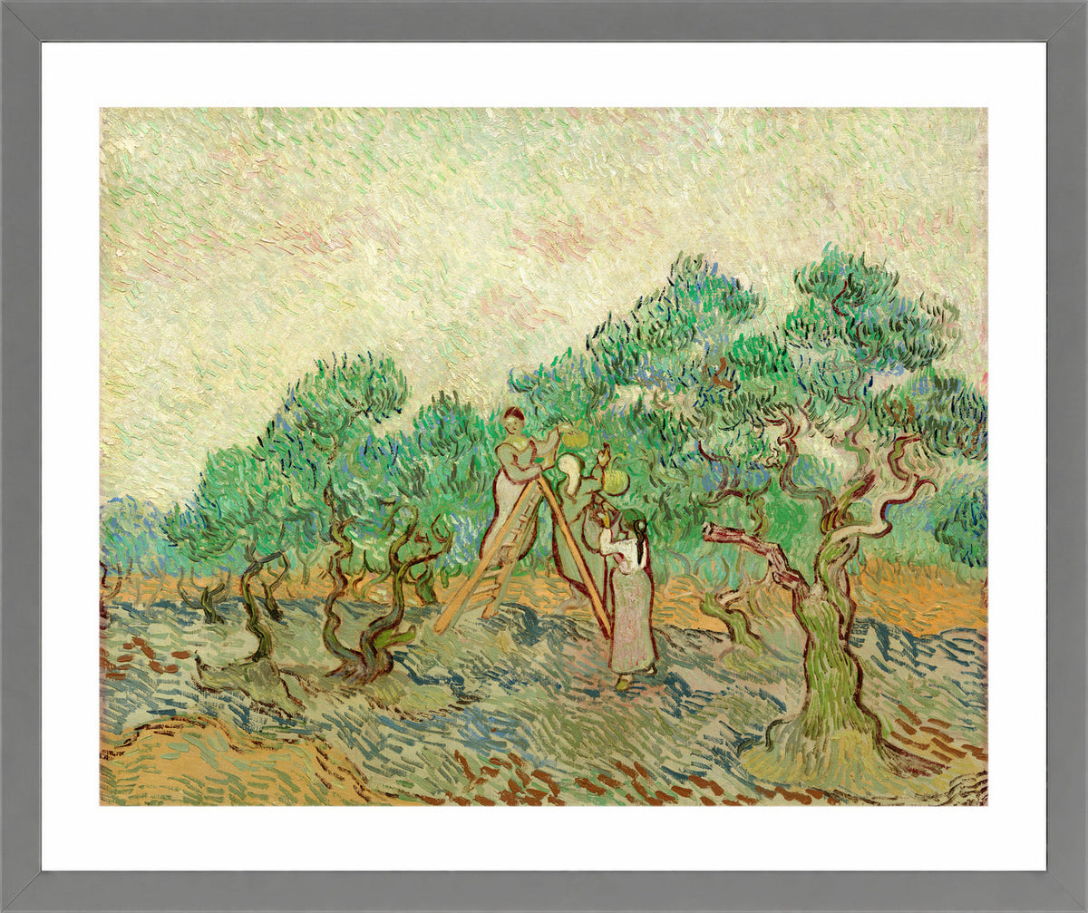 Vincent van Gogh Print, 024 Olive Pickers_10x8 in a light grey frame