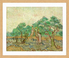 Vincent van Gogh Print, 024 Olive Pickers_10x8 in an oak frame