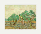 Vincent van Gogh Print, 024 Olive Pickers_10x8 with an off-white border for rolled canvas
