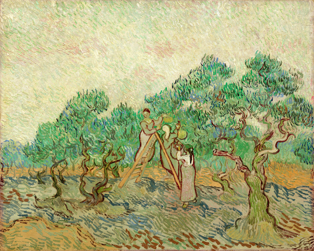Vincent van Gogh Print, 024 Olive Pickers_10x8 as an unframed print