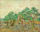 Vincent van Gogh Print, 024 Olive Pickers_10x8 as an unframed print