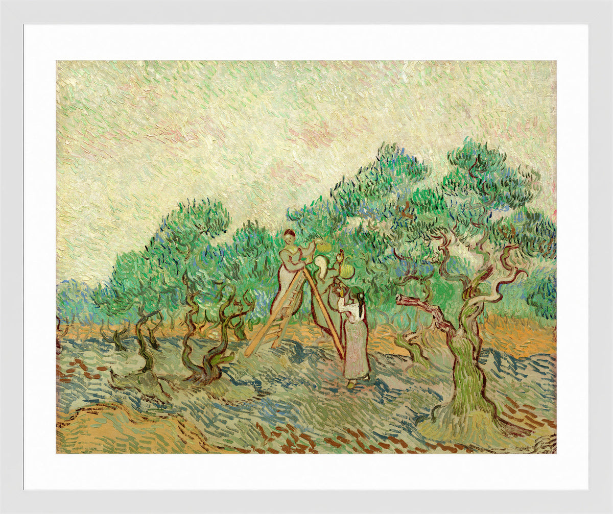 Vincent van Gogh Print, 024 Olive Pickers_10x8 in a white frame