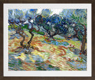 Vincent van Gogh Print, 025 Olive Trees (September 1889)_10x8 in a brown frame