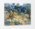 Vincent van Gogh Print, 025 Olive Trees (September 1889)_10x8 as a ready-to-hang canvas panel