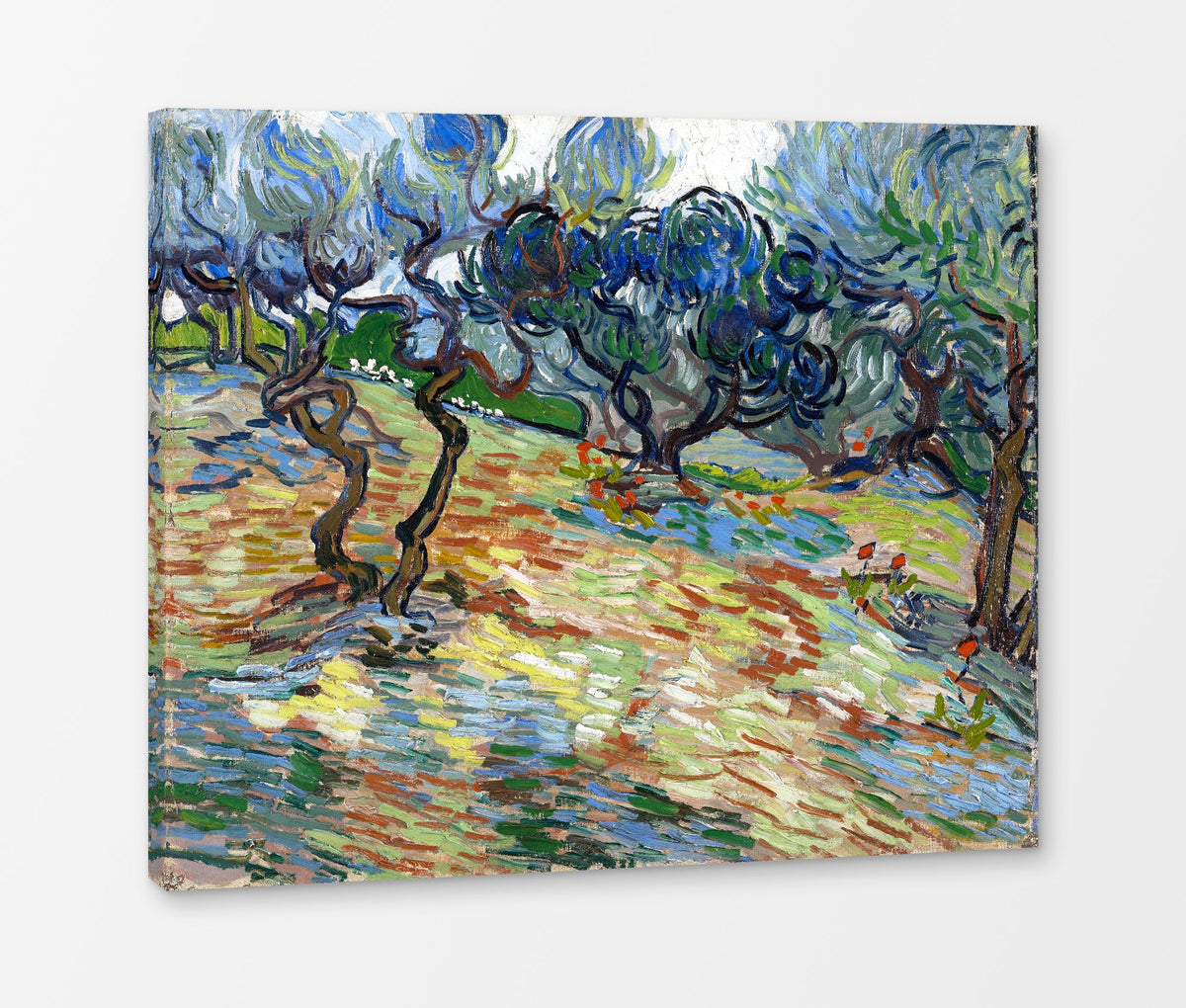 Vincent van Gogh Print, 025 Olive Trees (September 1889)_10x8 as a ready-to-hang canvas panel