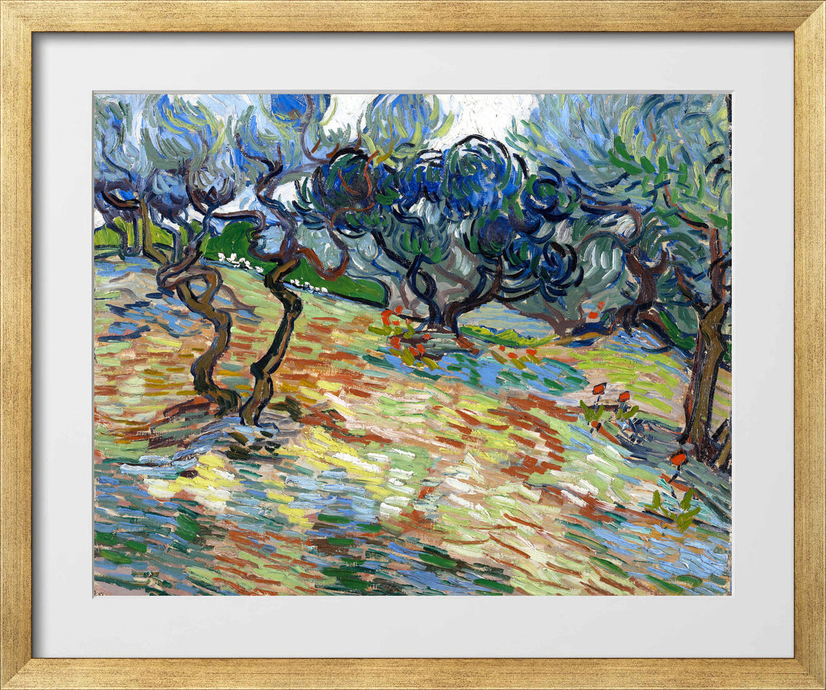 Vincent van Gogh Print, 025 Olive Trees (September 1889)_10x8 in a gold frame