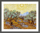 Vincent van Gogh Print, 027 Olive Trees with Yellow Sky and Sun_10x8 in a dark grey frame