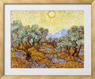 Vincent van Gogh Print, 027 Olive Trees with Yellow Sky and Sun_10x8 in a gold frame