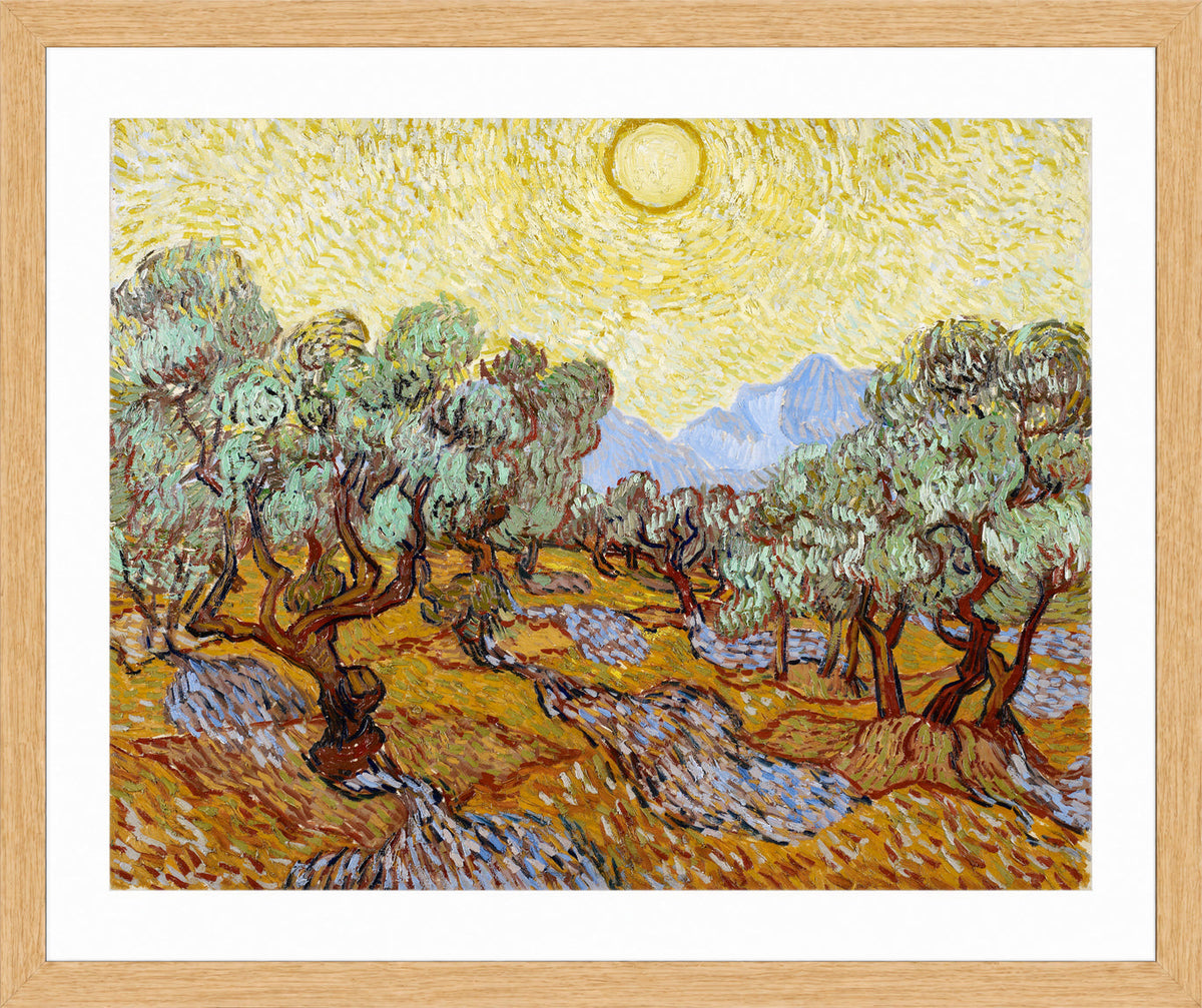 Vincent van Gogh Print, 027 Olive Trees with Yellow Sky and Sun_10x8 in an oak frame