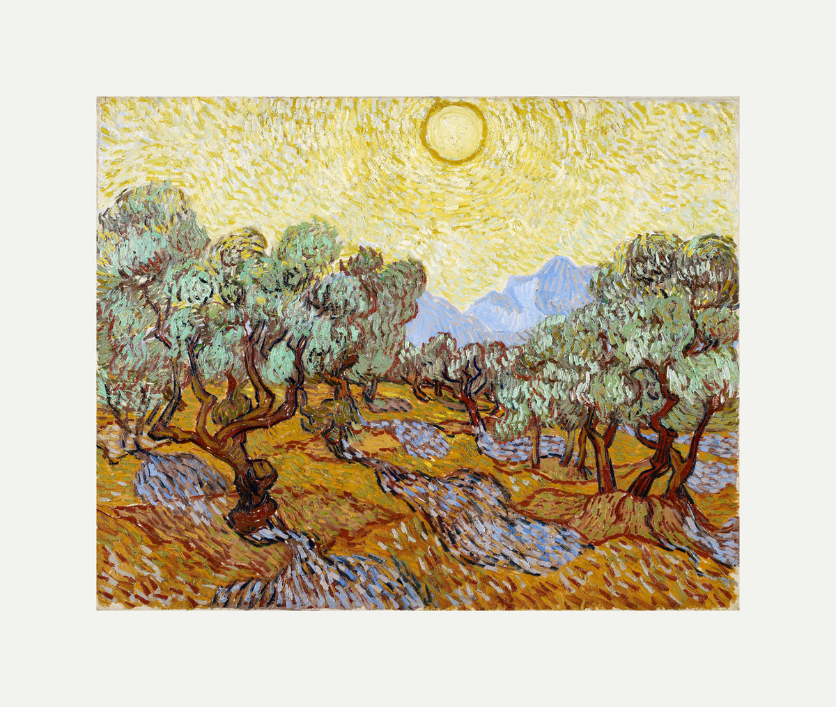 Vincent van Gogh Print, 027 Olive Trees with Yellow Sky and Sun_10x8 with an off-white border for rolled canvas