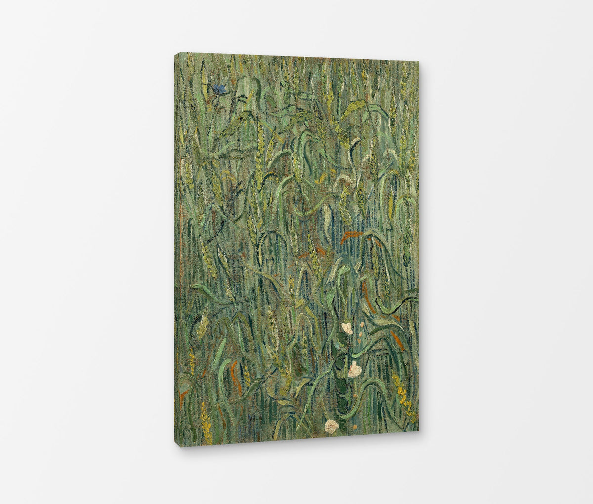 Vincent van Gogh Print, 035 Ears of Wheat_12x8 as a ready-to-hang canvas panel