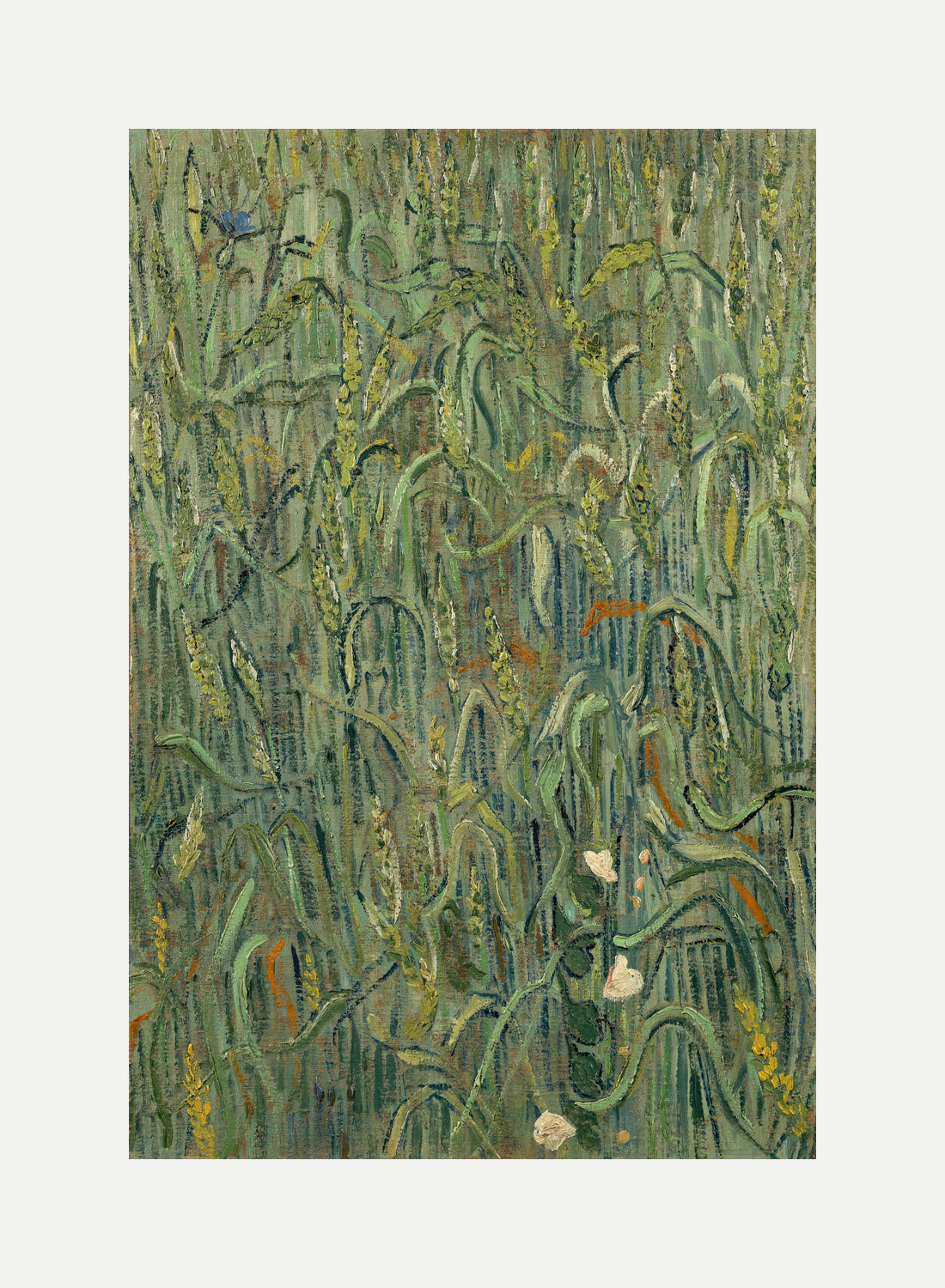 Vincent van Gogh Print, 035 Ears of Wheat_12x8 with an off-white border for rolled canvas