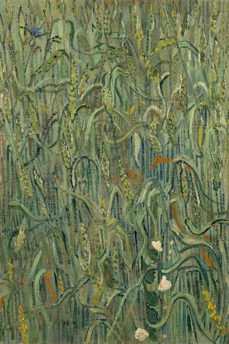 Vincent van Gogh Print, 035 Ears of Wheat_12x8 as an unframed print