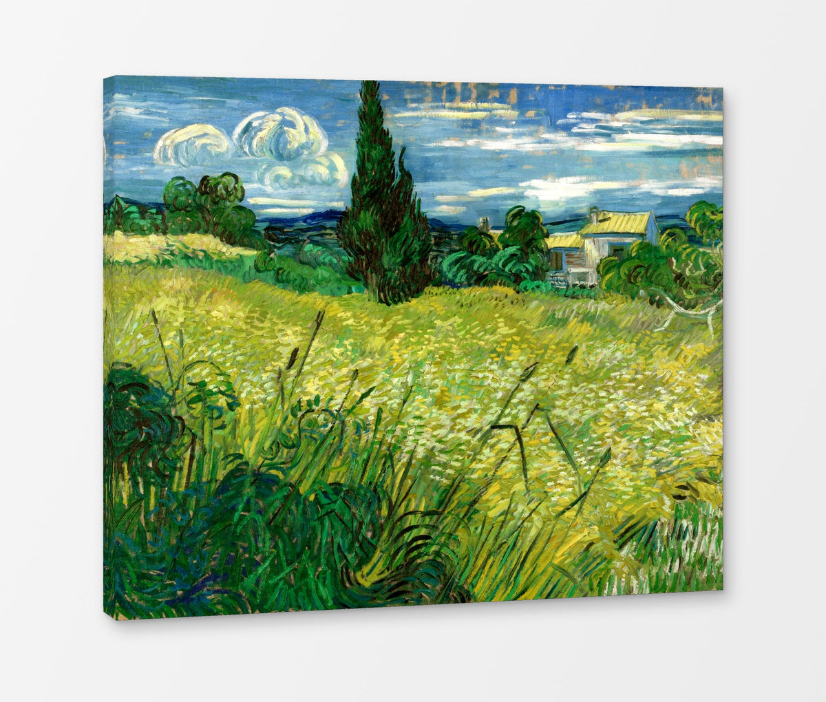 Vincent van Gogh Print, 039 Green Field_10x8 as a ready-to-hang canvas panel