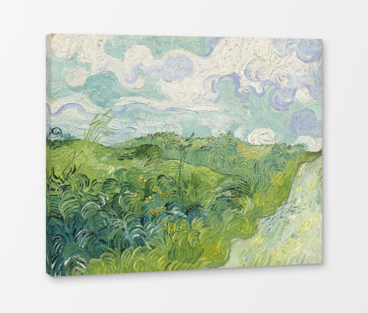 Vincent van Gogh Print, 040 Green Wheat Fields, Auvers_10x8 as a ready-to-hang canvas panel