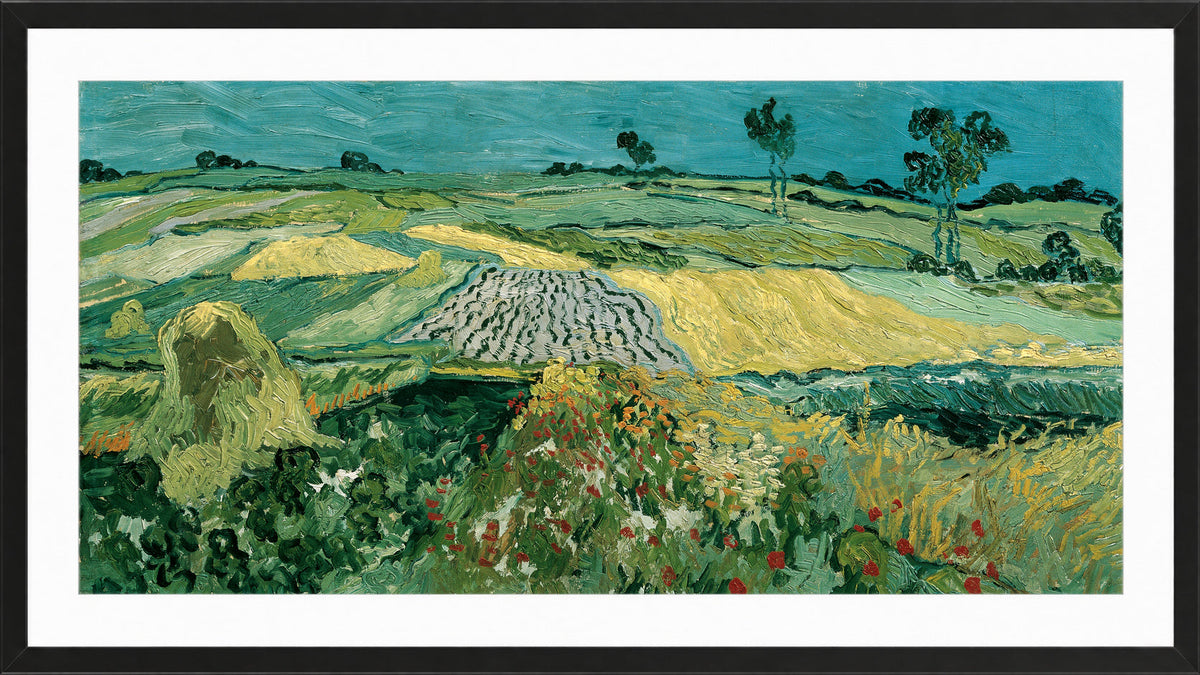 Vincent van Gogh Print, 052 The Plain of Auvers - Wheat Fields near Auvers_16x8 in a black frame
