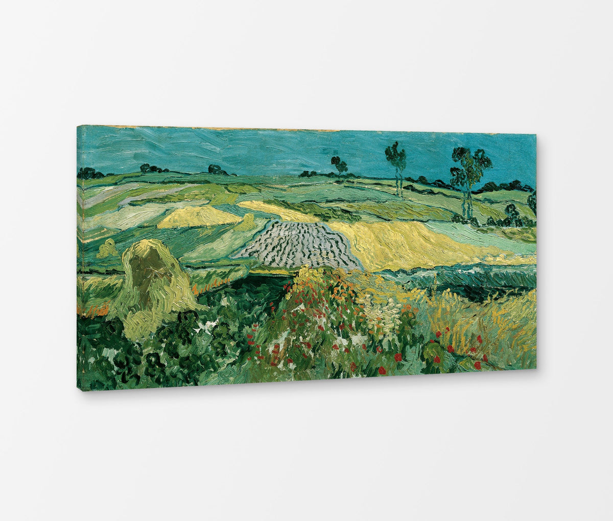 Vincent van Gogh Print, 052 The Plain of Auvers - Wheat Fields near Auvers_16x8 as a ready-to-hang canvas panel