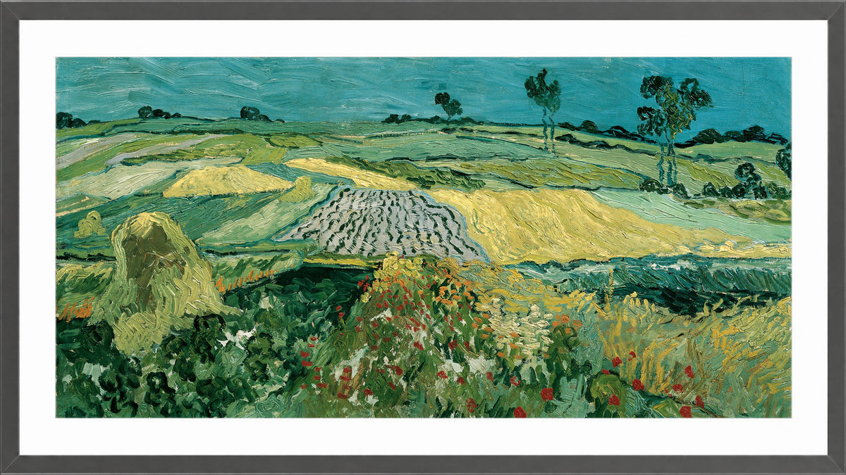 Vincent van Gogh Print, 052 The Plain of Auvers - Wheat Fields near Auvers_16x8 in a dark grey frame