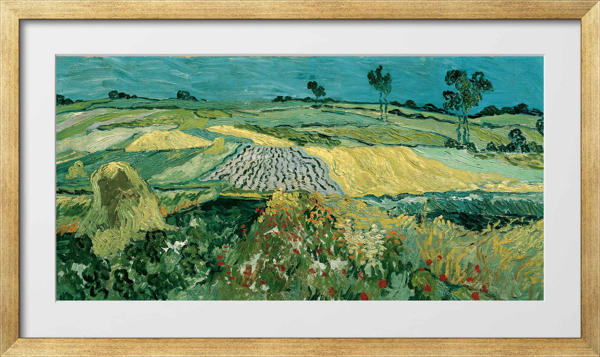 Vincent van Gogh Print, 052 The Plain of Auvers - Wheat Fields near Auvers_16x8 in a gold frame