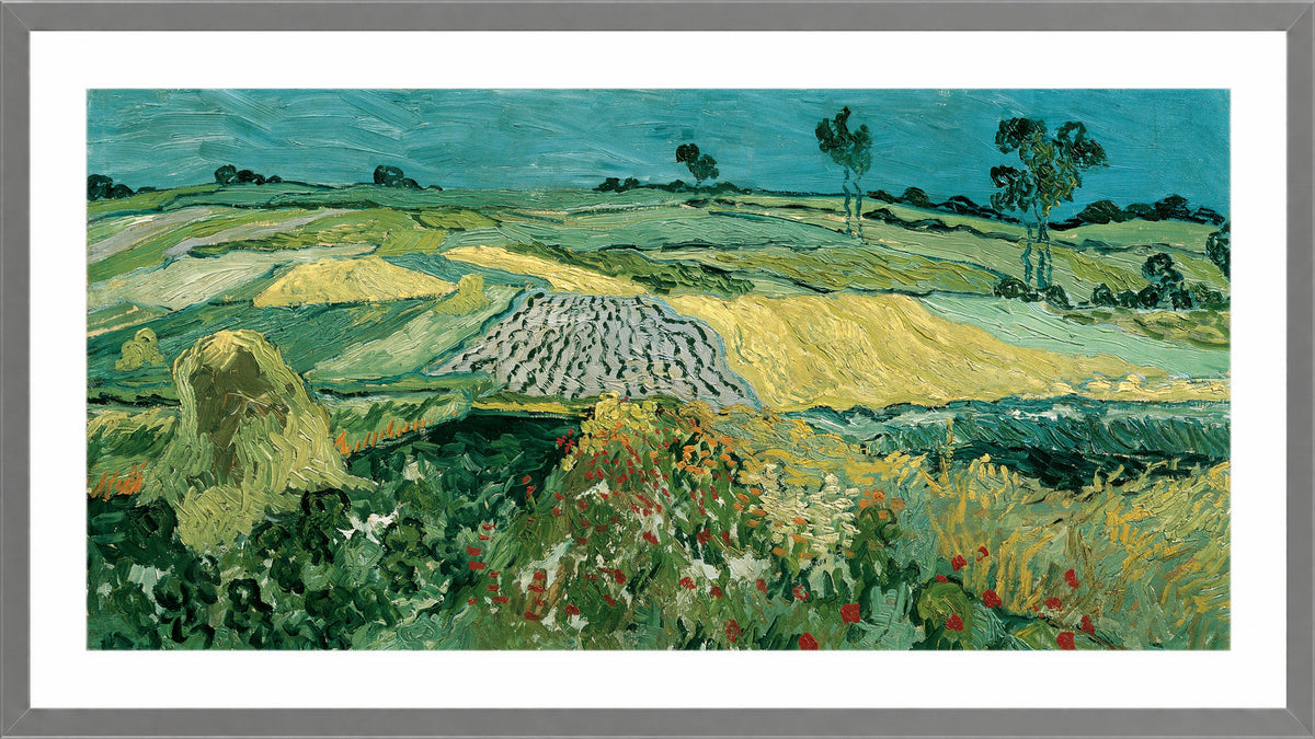 Vincent van Gogh Print, 052 The Plain of Auvers - Wheat Fields near Auvers_16x8 in a light grey frame
