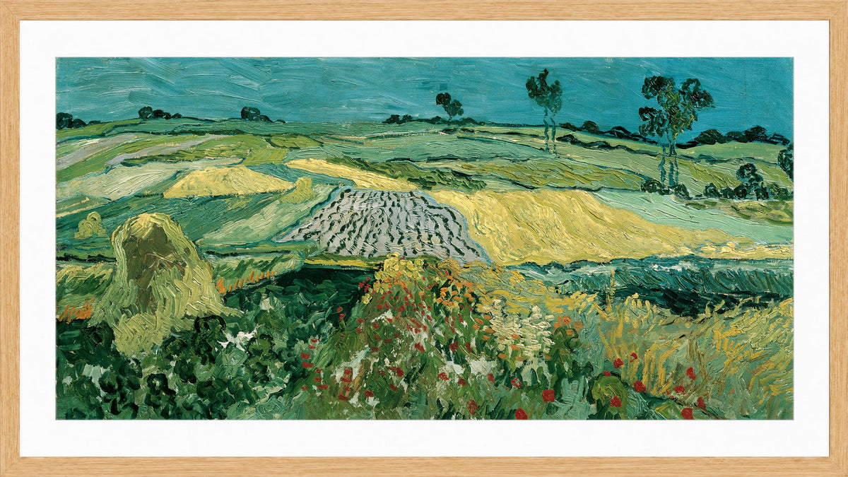 Vincent van Gogh Print, 052 The Plain of Auvers - Wheat Fields near Auvers_16x8 in an oak frame
