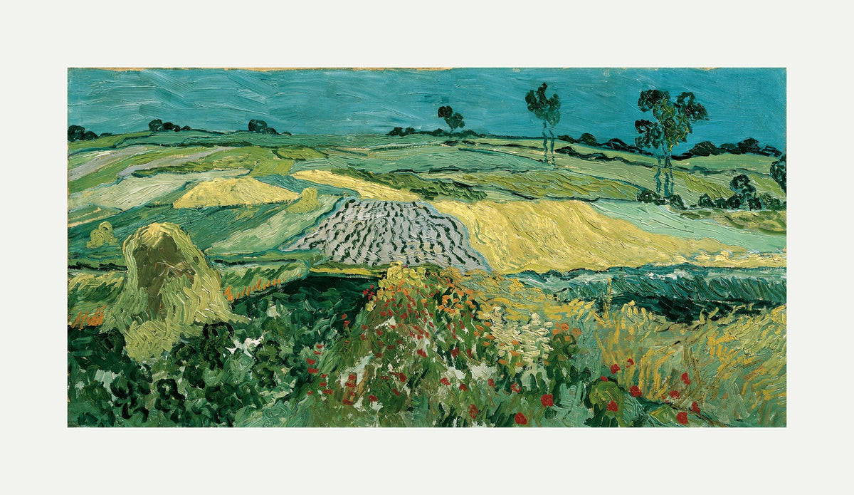 Vincent van Gogh Print, 052 The Plain of Auvers - Wheat Fields near Auvers_16x8 with an off-white border for rolled canvas