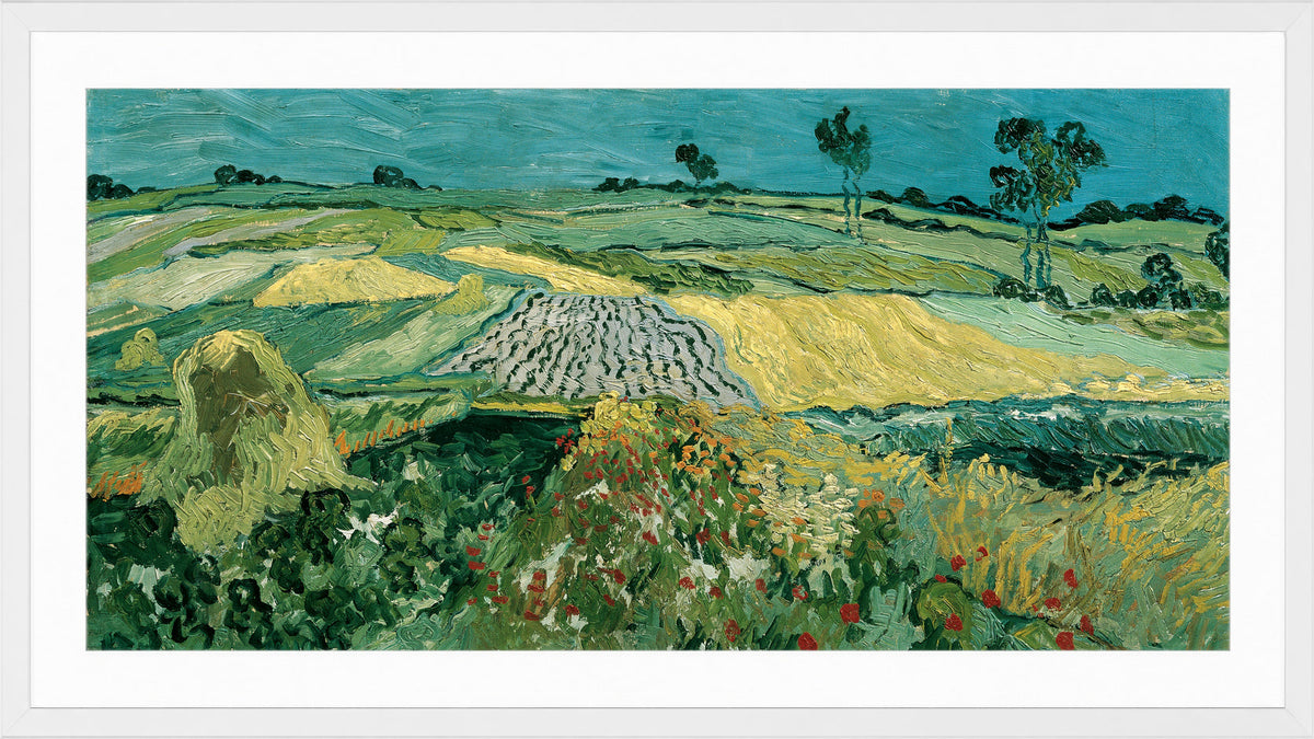Vincent van Gogh Print, 052 The Plain of Auvers - Wheat Fields near Auvers_16x8 in a white frame