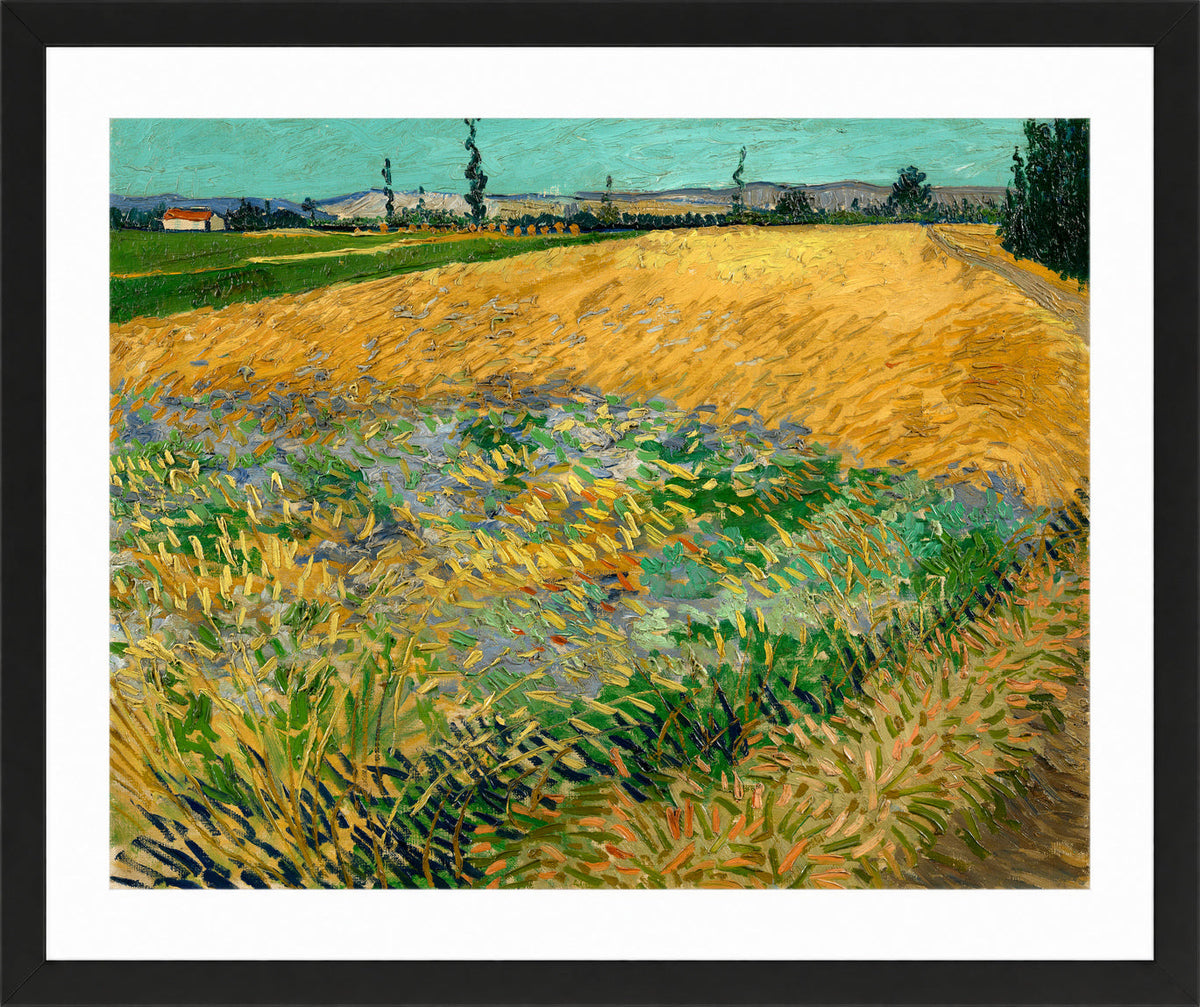 Vincent van Gogh Print, 061 Wheatfield (1888)_10x8 in a black frame
